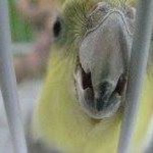 Meet your Posher, Carolynn